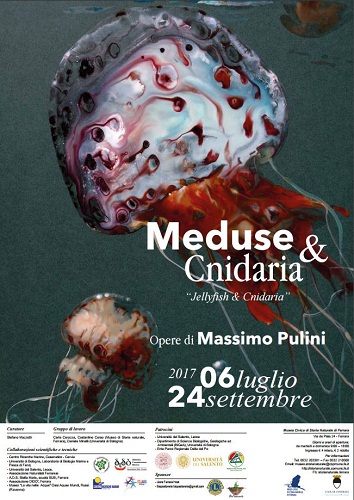 Meduse & cnidaria locandina